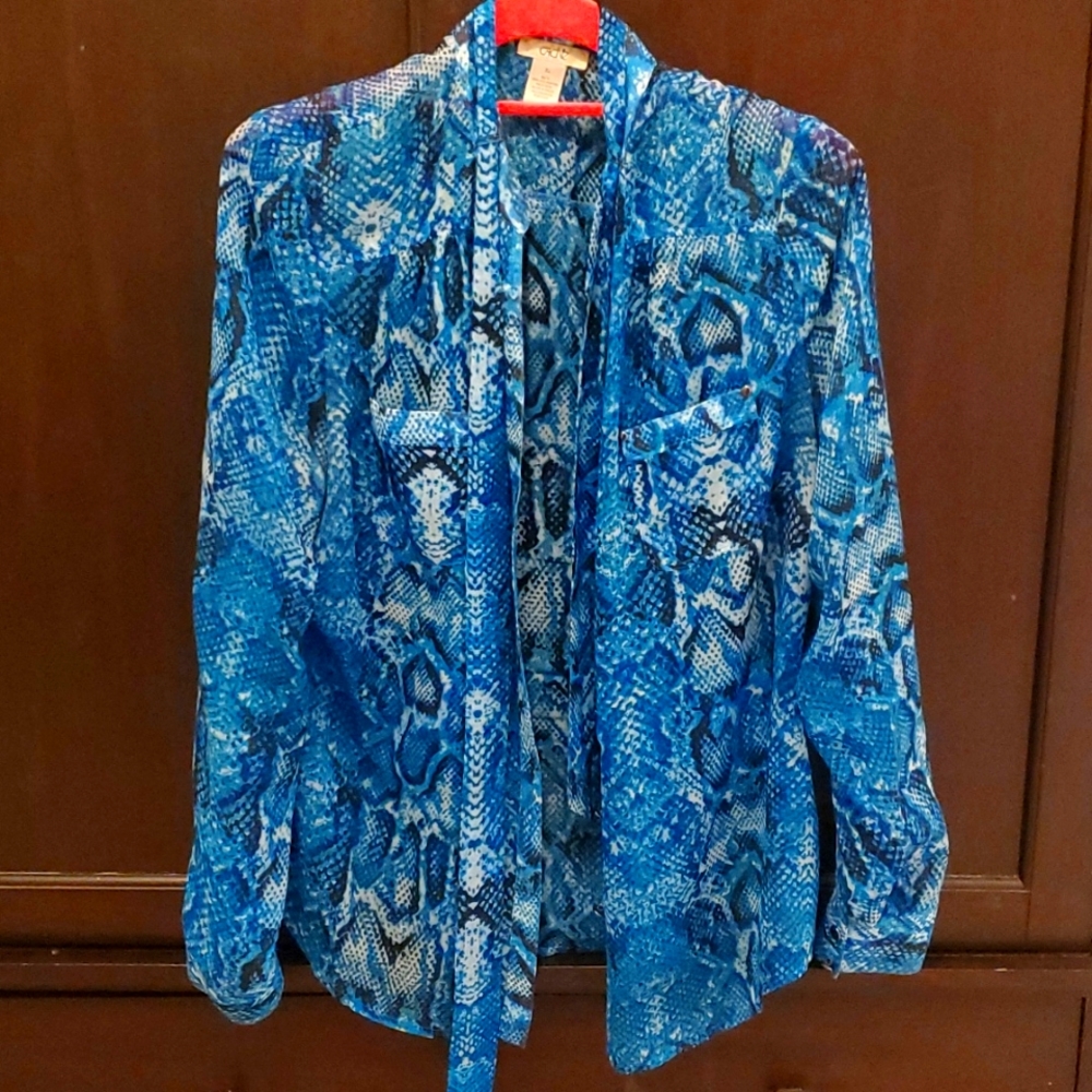 Cache blouse